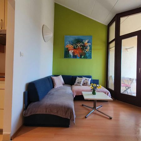 Janja Apartment Novigrad Istria Esterno foto