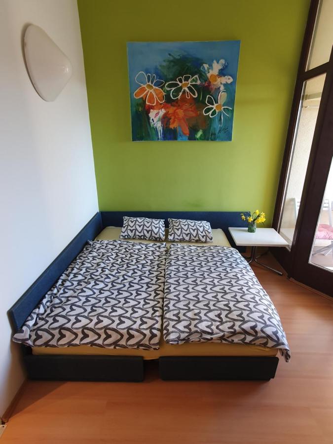 Janja Apartment Novigrad Istria Esterno foto